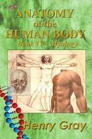 + understand the biomechanics of the human body and prevent sport injuries. Anatomy Of The Human Body Book Iv Myology Gray Henry Amazon Com