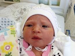 Fotogalerie: Miminka Moravskoslezský kraj 30. týden roku 2023