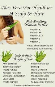 If you have any other query aloe vera prevents hair loss by protecting the scalp from any disease. Benifits Of Aloe Vera For Hair Hair Nutrients Aloe Vera For Hair Hair Health