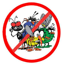 We also offer insulation services that not only keep your house warm but kill bugs too! Budget Pest Control 16 Photos 152 Reviews Pest Control San Jose Ca Phone Number