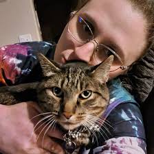 Using Disney gift cards at the park and MagicBand benefits