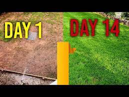 Watering New Grass Seed Day 1 7 14 4 Week Time Lapse Youtube