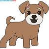 The bestselling book that asks what dogs know and how they think. 1