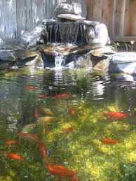 Pin By Angie Muller On Garten Bachlauf Teich Waterfalls Backyard Goldfish Pond Pond Landscaping