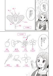 漫画の背景や効果に使える花の描き方 イラスト マンガ描き方ナビ 花 描き方 漫画の背景 描き方
