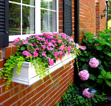 Watering window box planters and line the best looking for a plastic planter boxes exterior a plastic window box on purchases over come in just the. How To Hang Window Boxes The Right Way