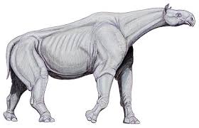 Although not recorded as a natural occurrence in the wild they are genuine carnivores, artificial insemination is not required as they mate in the normal way. Largest Prehistoric Animals Wikiwand