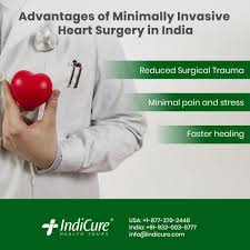 Minimally Invasive Heart Bypass Surgery Heart Surgery Surgery Bypass Surgery