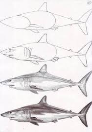F0baa24f6eda608b8fd44bc8182c334f Jpg F0baa24f6eda608b8fd44bc8182c334fjpg Shark Art Shark Drawing Fish Art