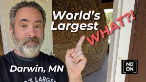 Bugs In A Box...What is it, about those BUGS in a BOX?