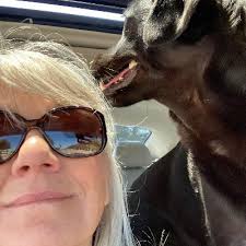 Mark Cavalieri (@MarkCavalieri)