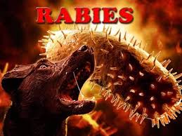 Komander operasi bencana daerah ialah. Sarawak Diisytihar Wabak Rabies Bencana Tahap Ii