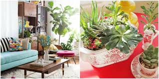 From colors and artwork to plants are one of the best ways to decorate your abode and stay close to nature. How To Decorate With Houseplants Best Houseplant Decor