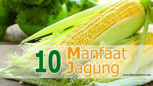Check spelling or type a new query. Manfaat Jagung Berikut 10 Jagung Madu Terengganu Facebook