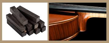 Image result for Diospyros crassiflora