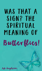 Black And White Butterfly Spiritual Meaning Butterfly Meaning The Symbolism Will Surprise You Spiritual Meaning Butterfly Meaning Spirituality