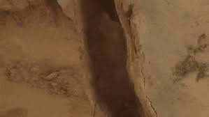 What is the differnce between open up and open in the following sentence? An Enormous Crack Just Opened Up In The Middle Of The Arizona Desert Flipboard