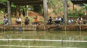 Sistem Mancing Di Kolam Pemancingan Hewanpedia