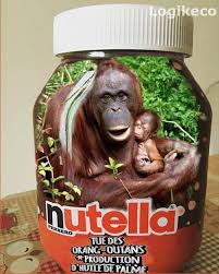 Découvrez toutes nos recettes variées pour vous régaler et garder bonne conscience. Logikeco L Huile De Palme De Nutella Greenwashing Elle Est Certifiee Rspo Mais L On Sait Ce Que Cela Veut Dire En 10 Ans D Existence Le Probleme Des Monocultures De Palmiers A