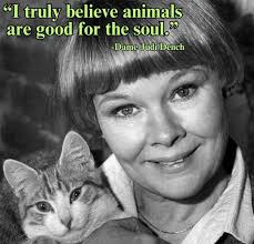 Profile for Return Me Home