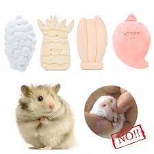3 79 Hamster Teeth Mineral Grinding Stone Fruit Shaped Pet Rat Rabbit Parrot Chew Toy Ebay Home Garden Parrothacks Hamster Small Pets Pet Rats