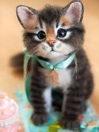 с м е ш а р и к и Shkola Valyaniya Sh E R S T Ya N I K A Vse O Vojloke Felt Cat Cute Stuffed Animals Felt Animals
