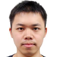 What is the dark area in the sirius red staining from CCl4 treated mouse  liver?