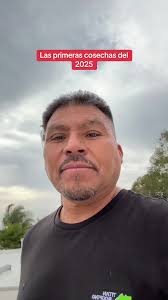 Tiempo De Cosecha 2025
