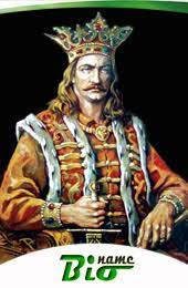 A ridicat multe biserici și mănăstiri și a fost unul dintre apărătorii creștinătății împotriva invaziei otomane. Ètefan Cel Mare Biography Name