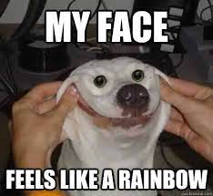 At memesmonkey.com find thousands of memes categorized into thousands of categories. This Is My Happy Face Meme 09 Jpg 470 431 Happy Memes Funny Looking Animals Dog Quotes Funny