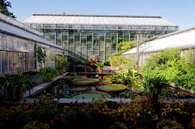 Finden sie die besten angebote für haus garten jena. Von Kakteen Kamelien Und Katzen Das Ist Der Botanische Garten Jena T Akt Magazin