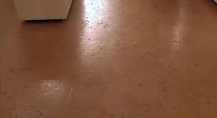 Going Green Rammed Earth Eco Friendly Flooring Flooring