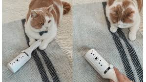 The 8 Best Pet Hair Remover Brushes For Clothing Or Furniture Pet Hair Removal Furniture Pet Hair Cat Hair Removal