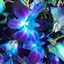 Discover flowers discount codes and save money on your next purchase today. Facebook