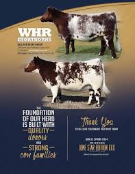 2023 July Shorthorn Country by SCI