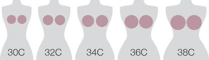 This difference will determine your cup size. Find Your Perfect Bra Fit Inner Secrets Lingerie