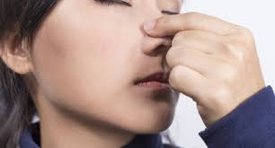 In the case of severe nasal vestibulitis, the best treatment approach is antibiotic given via intravenous route. Painful Boil Inside The Nose Can It Be Dangerous
