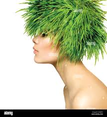 Fantasy flower Banque de photographies et d'images à haute résolution