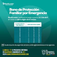 Bono de 120 usd de protección familiar para 480.000 familias pobres del ecuador, este bono se pagará desde febrero a marzo. Bono De Emergencia Por Coronavirus Para 400 Mil Familias