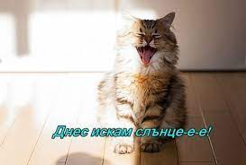 images?q=tbn:ANd9GcTz9dHb97BiEZmqgF_vsBx