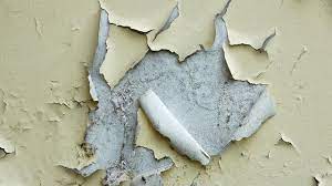 Maybe you would like to learn more about one of these? Memperbaiki Cat Tembok Mengelupas