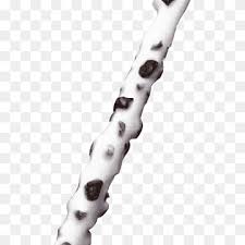 1,823 وصفة مكتوبة مجرّبة وناجحة لـوجوز. Pepero Png Images Pngwing