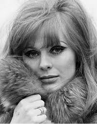 Laurene Stone, rose to Fame during the 1960s |