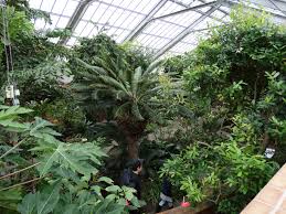 Ann arbor holiday homes ann arbor holiday packages ann arbor flights ann arbor restaurants ann arbor attractions ann arbor shopping. Lutheran Subject Schroeder S Blog Local Tourist Matthaei Botanical Gardens Ann Arbor