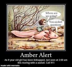 May 19, 2021 · samir hussein/wireimage amber heard at the 2020 libel trial. Amber Alert R Okbuddyretard Okbuddyretard Know Your Meme
