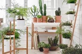 228 tykkäystä · 1 puhuu tästä · 7 693 oli täällä. Suka Berkebun Yuk Buat Taman Rumah Mini