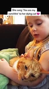 Cat felt all the love in that moment, beautiful 🥲❤ #fyp #emotional #cat  #rip #song #love #animallover #pets #family #heartbreaking #share #viral  #xyzbca #foryou #foryoupage