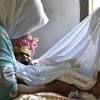 Gambar kisah untuk Fungsi Sunat Pada Bayi Perempuan dari CNN Indonesia