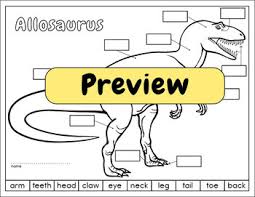 Choose quality ford parts bolts, clips, harnesses and springs, all designed for ford and lincoln vehicles. Label A Dinosaur Body Parts Diagram By Loreen Leedy Tpt
