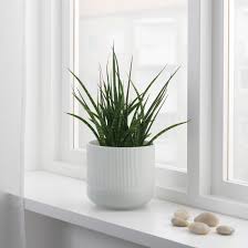 Gradvis Plant Pot Gray Ikea Indoor Plant Pots Ikea Plants Flower Pots